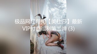 极品网红母狗【美杜莎】最新VIP付费福利第二弹 (3)