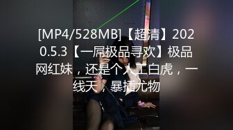 [MP4/528MB]【超清】2020.5.3【一屌极品寻欢】极品网红妹，还是个人工白虎，一线天，暴插尤物