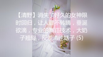 【清野】消失了好久的女神限时回归，让人目不转睛，垂涎欲滴，专业的舞蹈技术，大奶子翘臀，反差清纯婊子 (5)