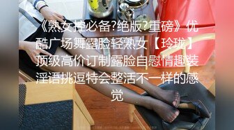 [MP4]国产AV剧情黄瓜招待所老板娘亲自接待男翻译到酒吧疯狂嗨