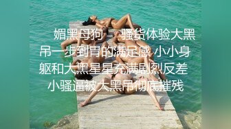 Al&mdash;安雅&middot;泰勒 海边火辣性爱