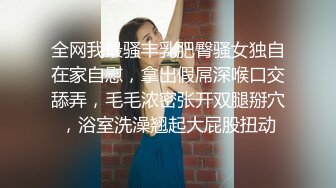 新人 金纯一中俄混血美模 性感红色蕾丝情趣服饰 丰满诱人的身段妩媚多姿[70P/121M]