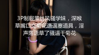 穿着渔网丝袜的美妞玩自拍