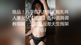 大屌黑人肏服各路媚黑淫妻thefirstclassjd资源合集【71V】 (21)