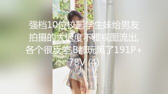 【新片速遞】&nbsp;&nbsp;【精品厕拍】游乐场全景偷拍美女们翘起屁股给你看[1390M/MP4/23:13]