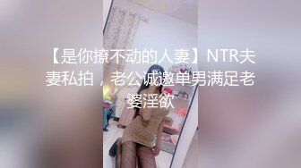 女仆娃娃 厅主人的话的人偶