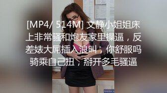 抖S麥娜會長大人被抖M筆記支配了 2