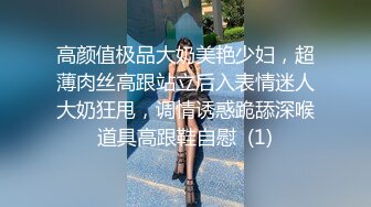 半岛束艺240818-白鲸-奎因-我的形体老师