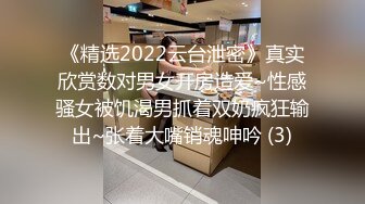 网红 妮可 李真 上演高跟肉丝制服诱惑