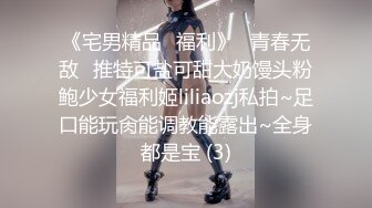 蜜桃空姐的专业服务