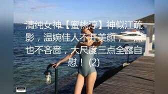 【重磅核弹】超高颜值车模女神【太子妃】SM调教露出啪啪 第一部 (8)