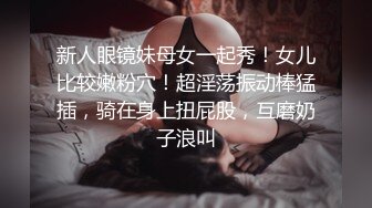 极品长腿女友口交