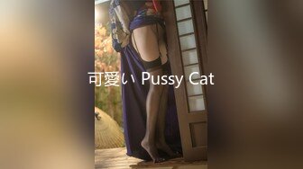 可愛い Pussy Cat