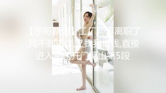 巨乳人妻10D油亮灰色连裤丝袜