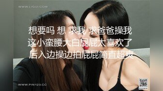 性骚扰的巨乳上司