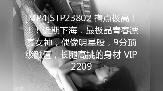 [MP4]STP23802 撸点极高！！！近期下海，最极品青春漂亮女神，偶像明星般，9分顶级颜值，长腿高挑的身材 VIP2209