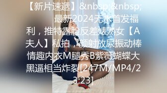 [MP4/376M]7/2最新 胖哥圣诞节给情人买了礼物开房穿上情趣黑丝战衣啪啪VIP1196