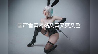 sex哥-极品网袜高跟外围女