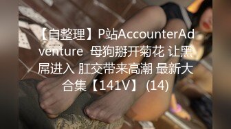 【自整理】P站AccounterAdventure  母狗掰开菊花 让黑屌进入 肛交带来高潮 最新大合集【141V】 (14)