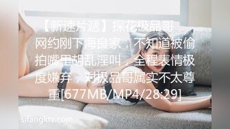 [2DF2]平安夜激战小钢炮 战况激烈 惨叫不止却露出微笑 - [MP4/62.6MB][BT种子]