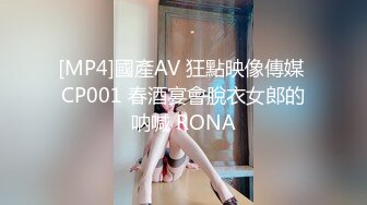 NVH-004 Momotani Riri Shemale Pick Up – HD