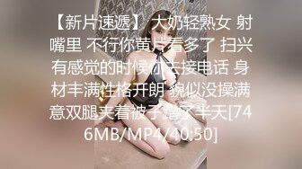 我的小奶猫女友，