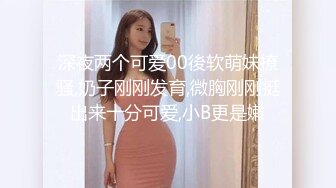 女神的嬌喘大雞巴揚風用大屌征服女神對白淫蕩